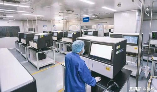 破局生命科學(xué)前沿 中國(guó)如何以機(jī)電科技之翼驅(qū)動(dòng)精尖設(shè)備自主創(chuàng)新